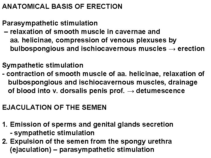 ANATOMICAL BASIS OF ERECTION Parasympathetic stimulation – relaxation of smooth muscle in cavernae and