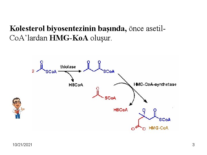 Kolesterol biyosentezinin başında, önce asetil. Co. A’lardan HMG-Ko. A oluşur. 10/21/2021 3 
