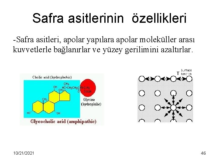 Safra asitlerinin özellikleri -Safra asitleri, apolar yapılara apolar moleküller arası kuvvetlerle bağlanırlar ve yüzey