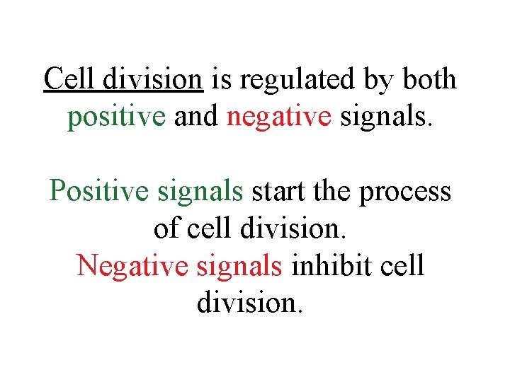 Cell division is regulated by both positive and negative signals. Positive signals start the