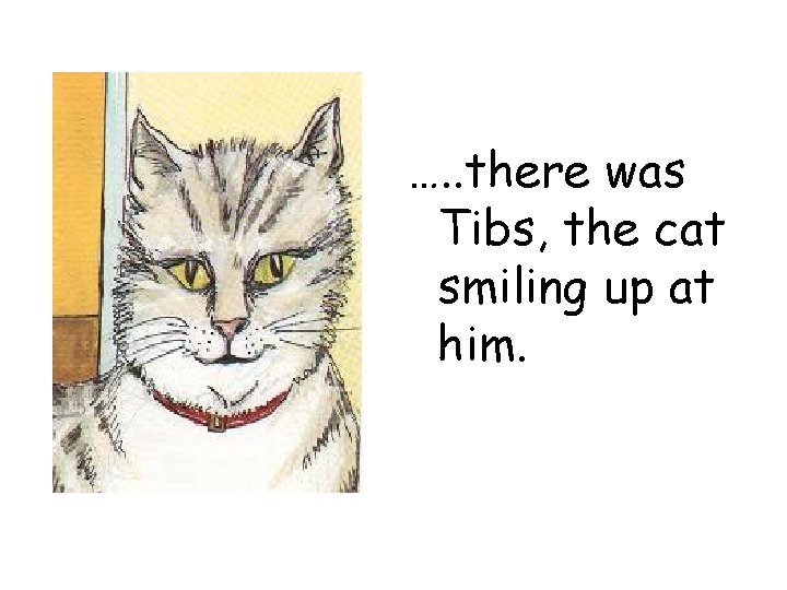 …. . there was Tibs, the cat smiling up at him. 