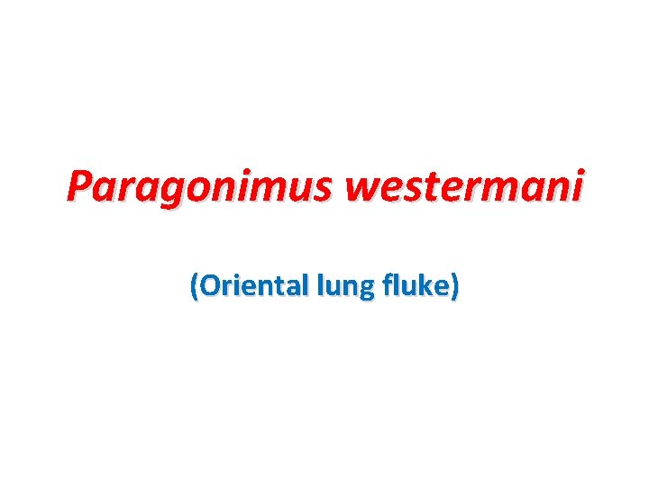 Paragonimus westermani (Oriental lung fluke) 