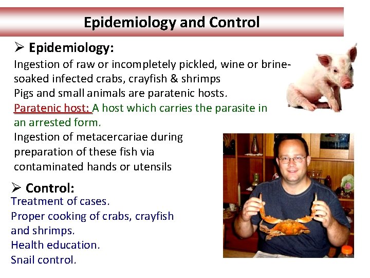 Epidemiology and Control Ø Epidemiology: Ingestion of raw or incompletely pickled, wine or brinesoaked