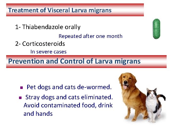 Treatment of Visceral Larva migrans 1 - Thiabendazole orally Repeated after one month 2