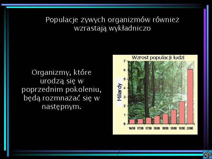 Populacje żywych organizmów również wzrastają wykładniczo Organizmy, które urodzą się w poprzednim pokoleniu, będą