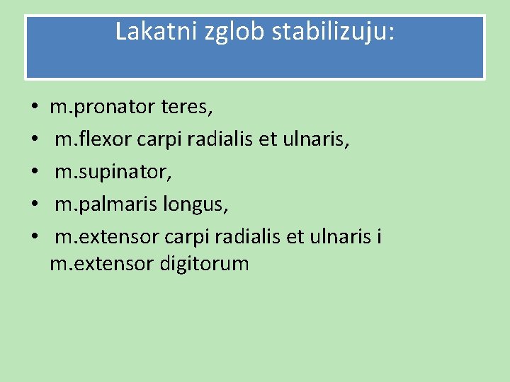 Lakatni zglob stabilizuju: • • • m. pronator teres, m. flexor carpi radialis et