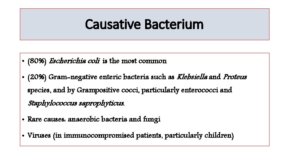 Causative Bacterium • (80%) Escherichia coli is the most common • (20%) Gram-negative enteric