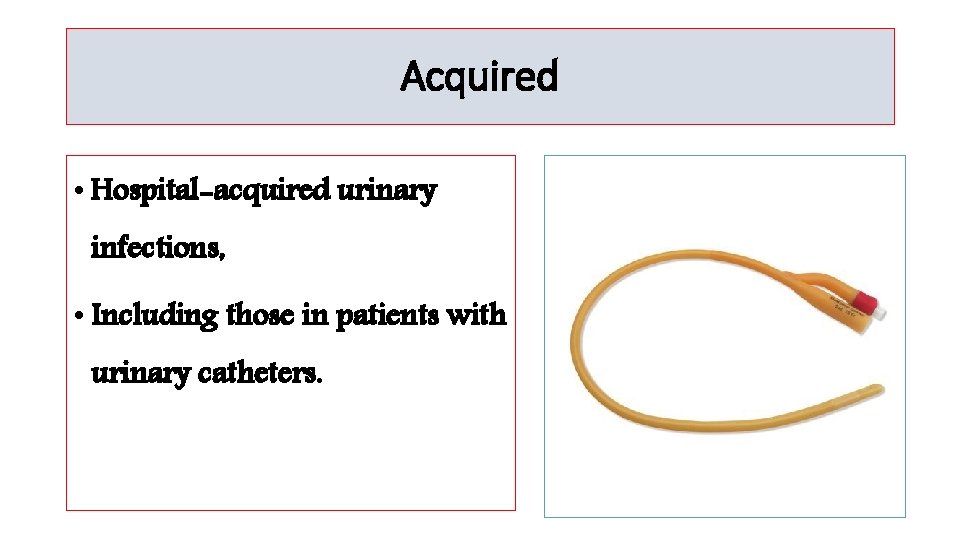 Acquired • Hospital-acquired urinary infections, • Including those in patients with urinary catheters. 