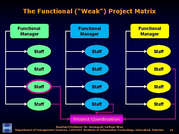 The Functional (“Weak”) Project Matrix Functional Manager Staff Staff Staff Project Coordination Assistant Professor