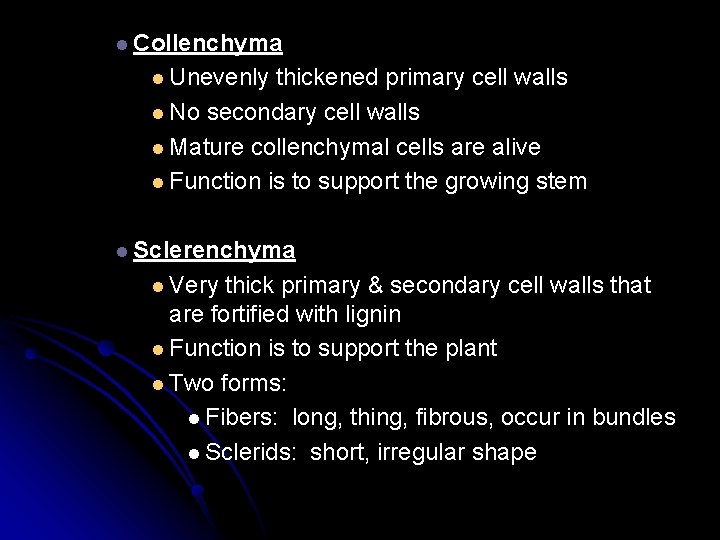 l Collenchyma l Unevenly thickened primary cell walls l No secondary cell walls l