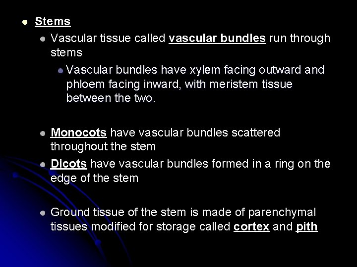 l Stems l Vascular tissue called vascular bundles run through stems l Vascular bundles