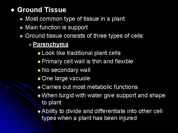 l Ground Tissue l l l Most common type of tissue in a plant.