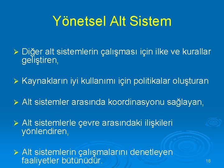 Yönetsel Alt Sistem Ø Diğer alt sistemlerin çalışması için ilke ve kurallar geliştiren, Ø