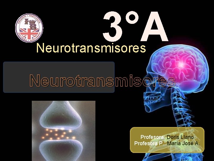 3°A Neurotransmisores Profesora: Doris Llano Profesora P. : María José A. 