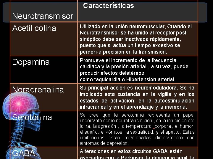 Características Neurotransmisor Acetil colina Utilizado en la unión neuromuscular, Cuando el Neurotransmisor se ha