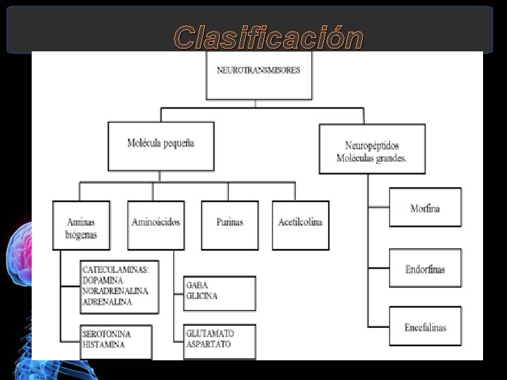 Clasificación 