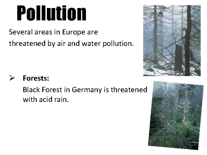 Pollution Several areas in Europe are threatened by air and water pollution. Ø Forests: