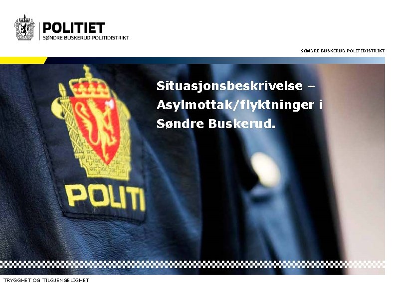 SØNDRE BUSKERUD POLITIDISTRIKT Situasjonsbeskrivelse – Asylmottak/flyktninger i Søndre Buskerud. TRYGGHET OG TILGJENGELIGHET 