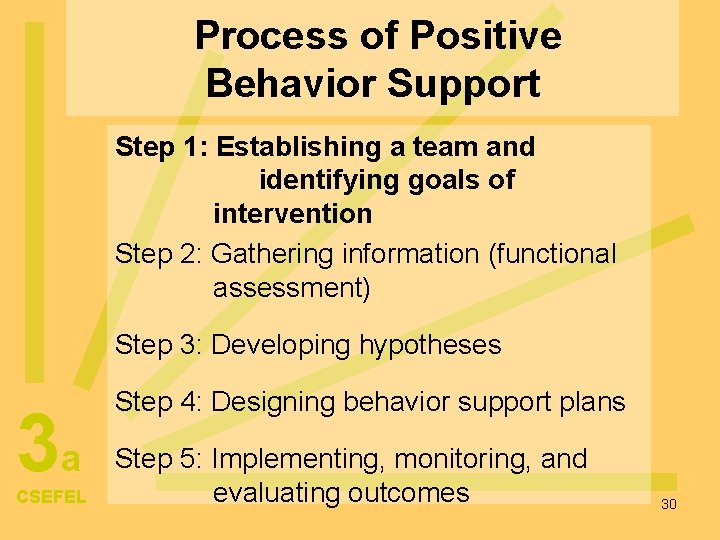 Process of Positive Behavior Support Step 1: Establishing a team and identifying goals of