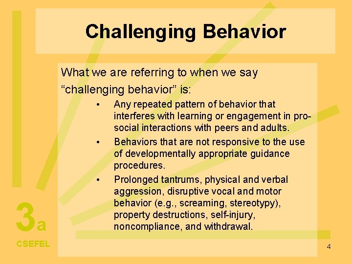 Challenging Behavior What we are referring to when we say “challenging behavior” is: •