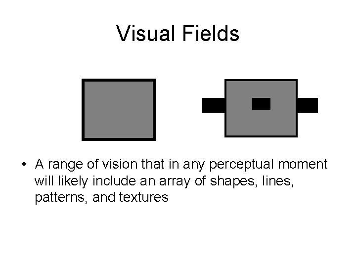 Visual Fields • A range of vision that in any perceptual moment will likely