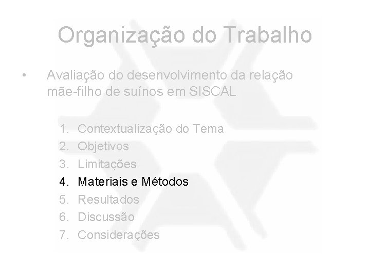 Organização do Trabalho • Avaliação do desenvolvimento da relação mãe-filho de suínos em SISCAL