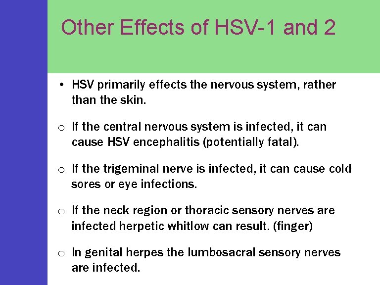 Other Effects of HSV-1 and 2 • HSV primarily effects the nervous system, rather