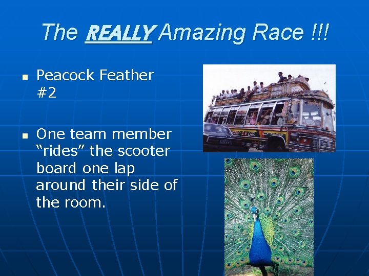 The REALLY Amazing Race !!! n n Peacock Feather #2 One team member “rides”