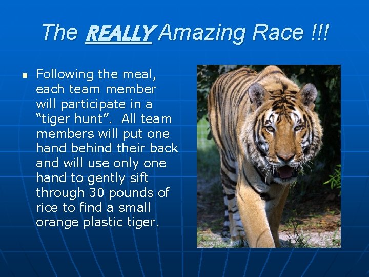 The REALLY Amazing Race !!! n Following the meal, each team member will participate