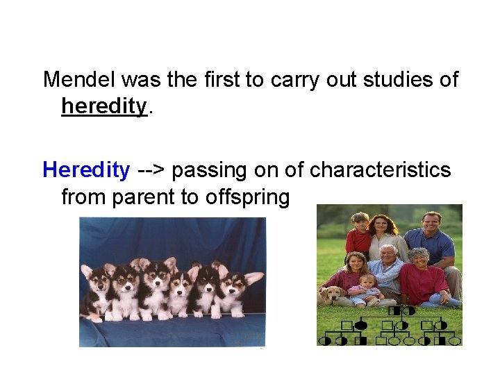 Mendel was the first to carry out studies of heredity. Heredity --> passing on