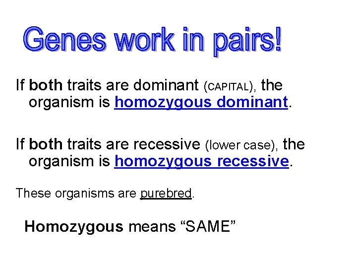 If both traits are dominant (CAPITAL), the organism is homozygous dominant. If both traits