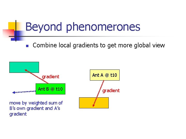 Beyond phenomerones n Combine local gradients to get more global view gradient Ant B
