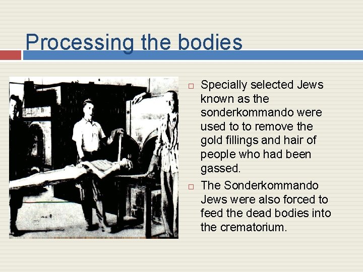 Processing the bodies Specially selected Jews known as the sonderkommando were used to to