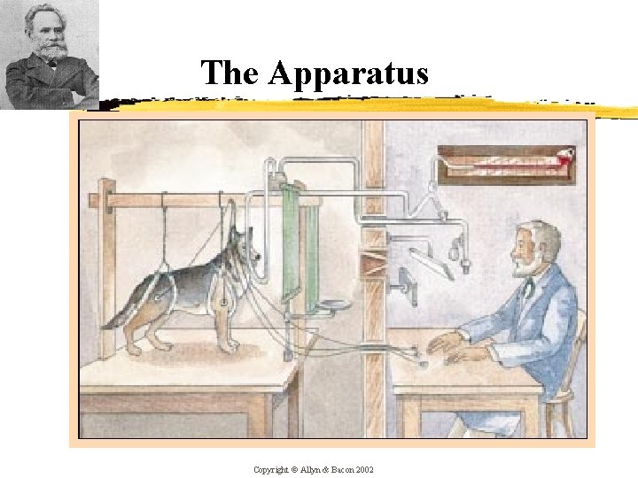 The Apparatus Copyright © Allyn & Bacon 2002 