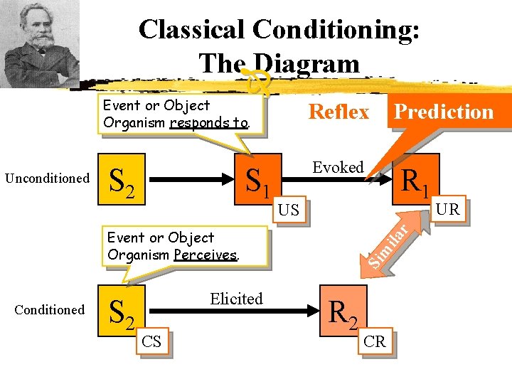 Classical Conditioning: The Diagram Event or Object Organism responds to. Unconditioned S 2 S