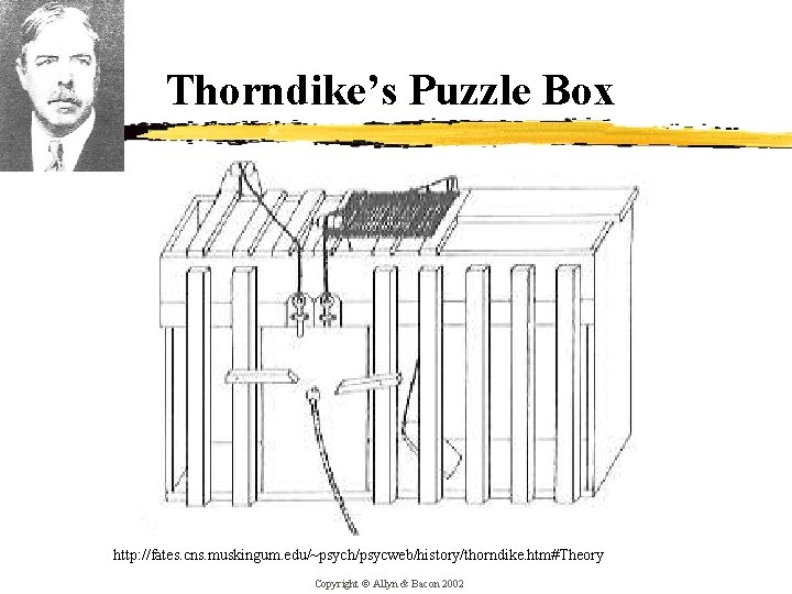 Thorndike’s Puzzle Box http: //fates. cns. muskingum. edu/~psych/psycweb/history/thorndike. htm#Theory Copyright © Allyn & Bacon