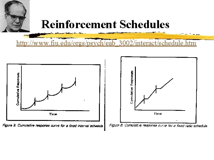 Reinforcement Schedules http: //www. fiu. edu/orgs/psych/eab_3002/interact/schedule. htm 