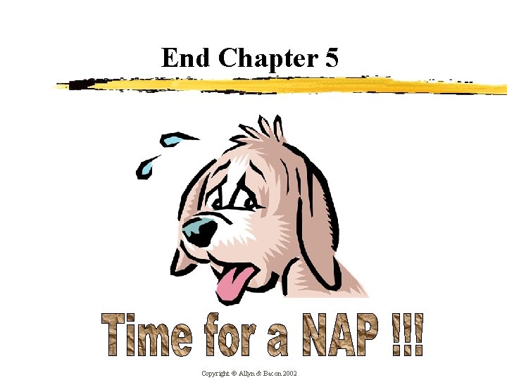 End Chapter 5 Copyright © Allyn & Bacon 2002 