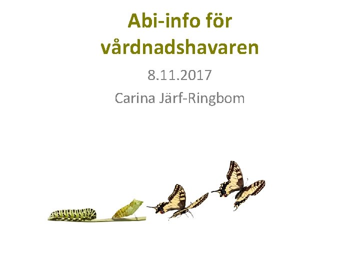 Abi-info för vårdnadshavaren 8. 11. 2017 Carina Järf-Ringbom 