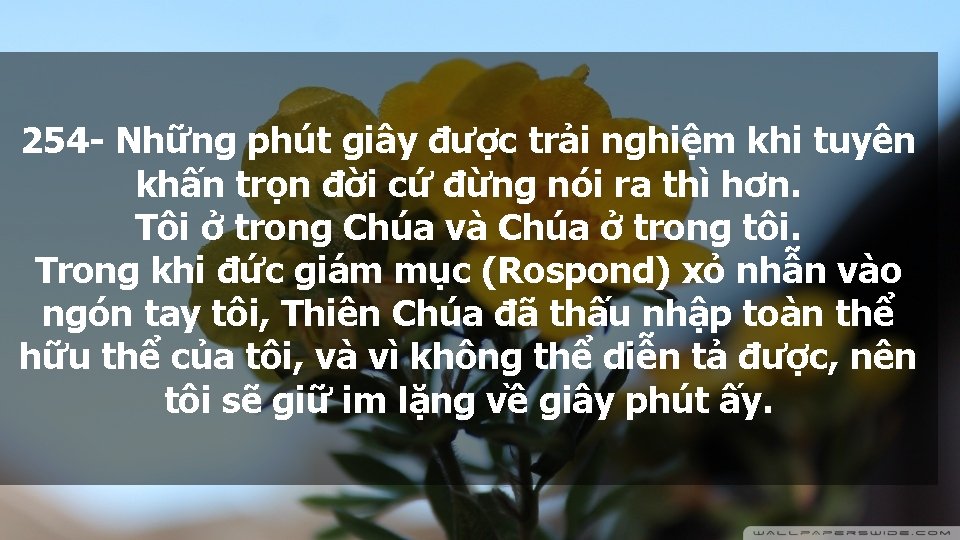 254 - Những phút giây được trải nghiệm khi tuyên khấn trọn đời cứ