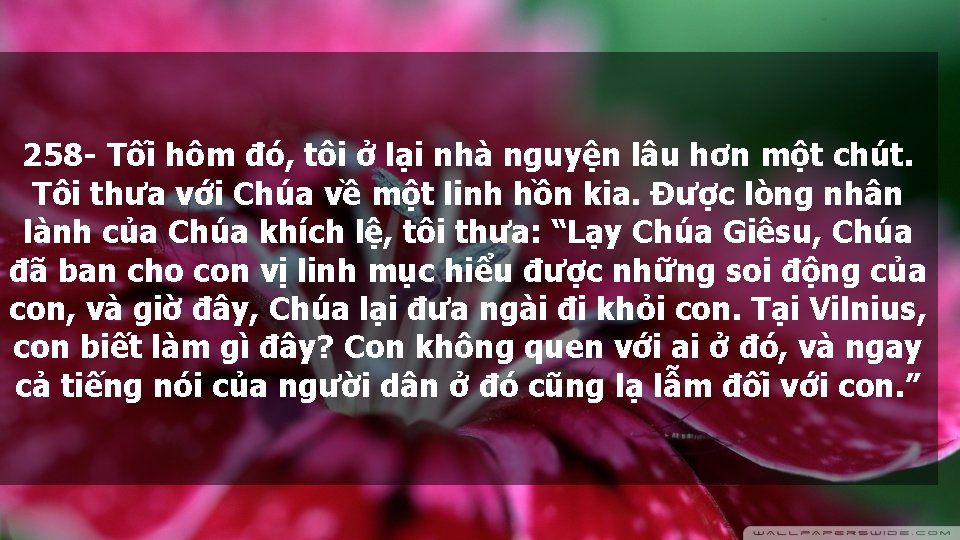 258 - Tối hôm đó, tôi ở lại nhà nguyện lâu hơn một chút.