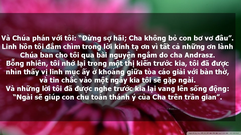 Và Chúa phán với tôi: “Đừng sợ hãi; Cha không bỏ con bơ vơ