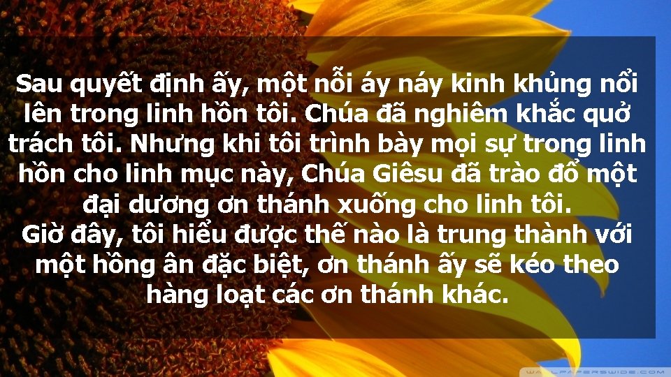 Sau quyết định ấy, một nỗi áy náy kinh khủng nổi lên trong linh