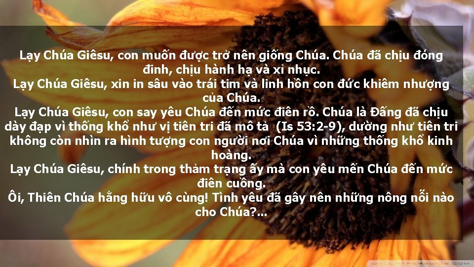 Lạy Chúa Giêsu, con muốn được trở nên giống Chúa đã chịu đóng đinh,