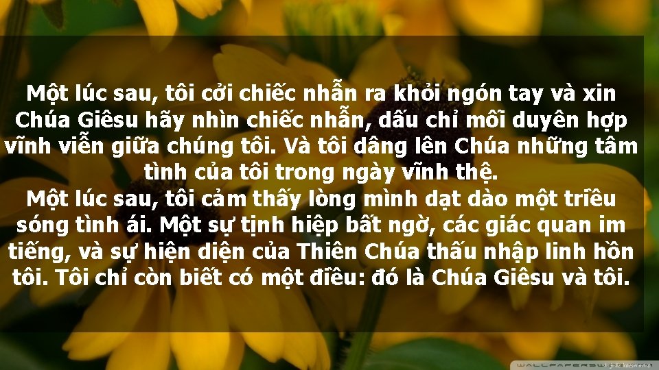 Một lúc sau, tôi cởi chiếc nhẫn ra khỏi ngón tay và xin Chúa