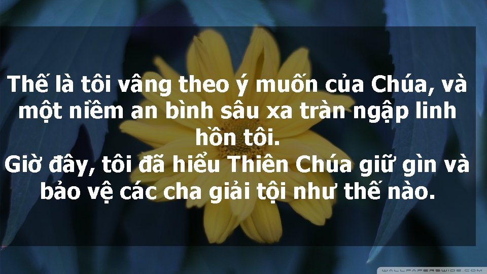 Thế là tôi vâng theo ý muốn của Chúa, và một niềm an bình