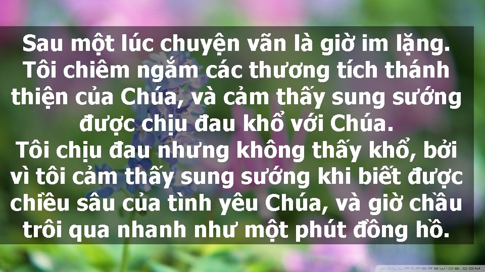 Sau một lúc chuyện vãn là giờ im lặng. Tôi chiêm ngắm các thương