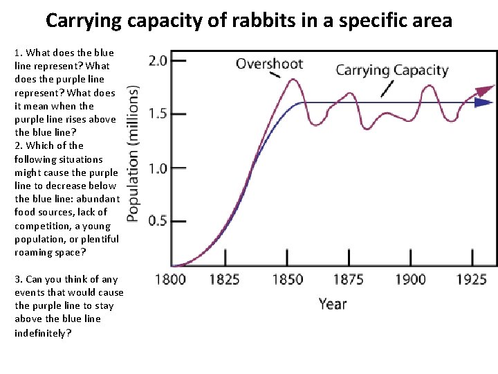Carrying capacity of rabbits in a specific area 1. What does the blue line Carrying capacity of rabbits in a specific area 1. What does the blue line
