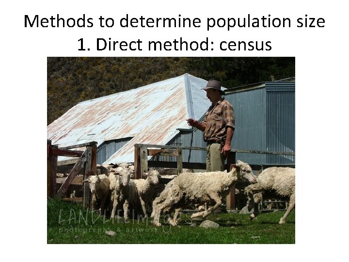 Methods to determine population size 1. Direct method: census Methods to determine population size 1. Direct method: census