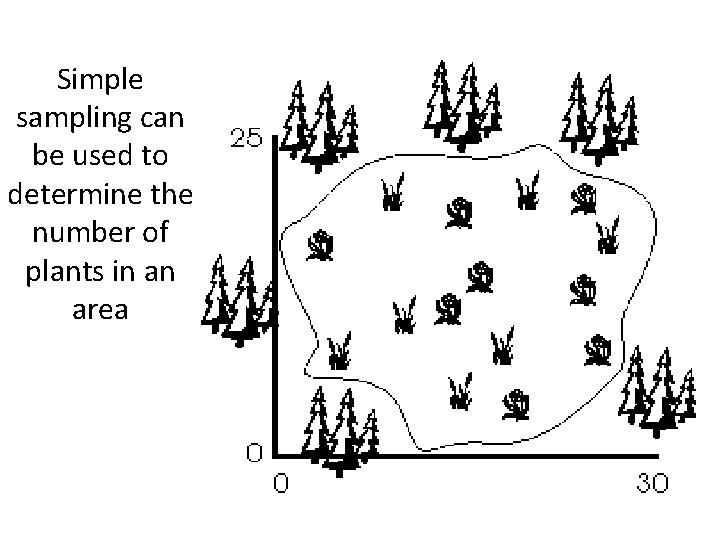 Simple sampling can be used to determine the number of plants in an area Simple sampling can be used to determine the number of plants in an area